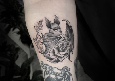 Erin bat