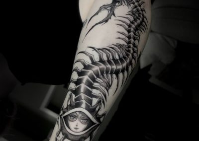 Erin millipede