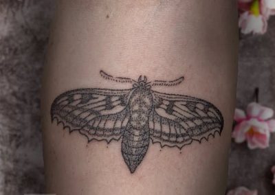 Jill Moth
