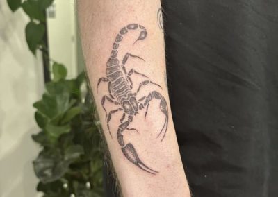 Jill Scorpion