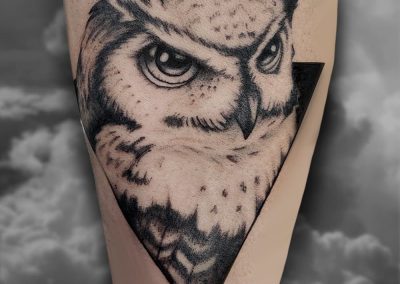 Lex Owl