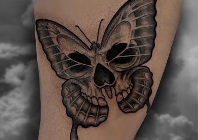 Lex butterfly