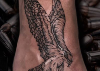 Ocea eagle on foot